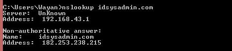 cek nslookup