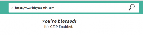 gzip enabled