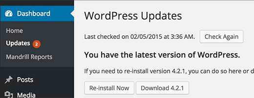 update wordpress