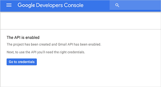 google api