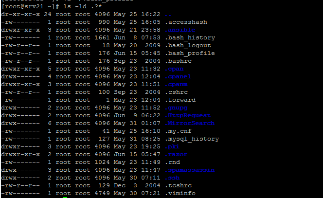 bash hidden file