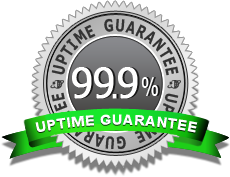 garansi uptime server